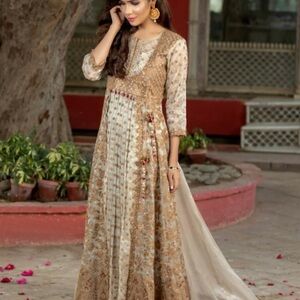 Chic Long Sleeve Beige and Gold Dress Pakistani (small size )